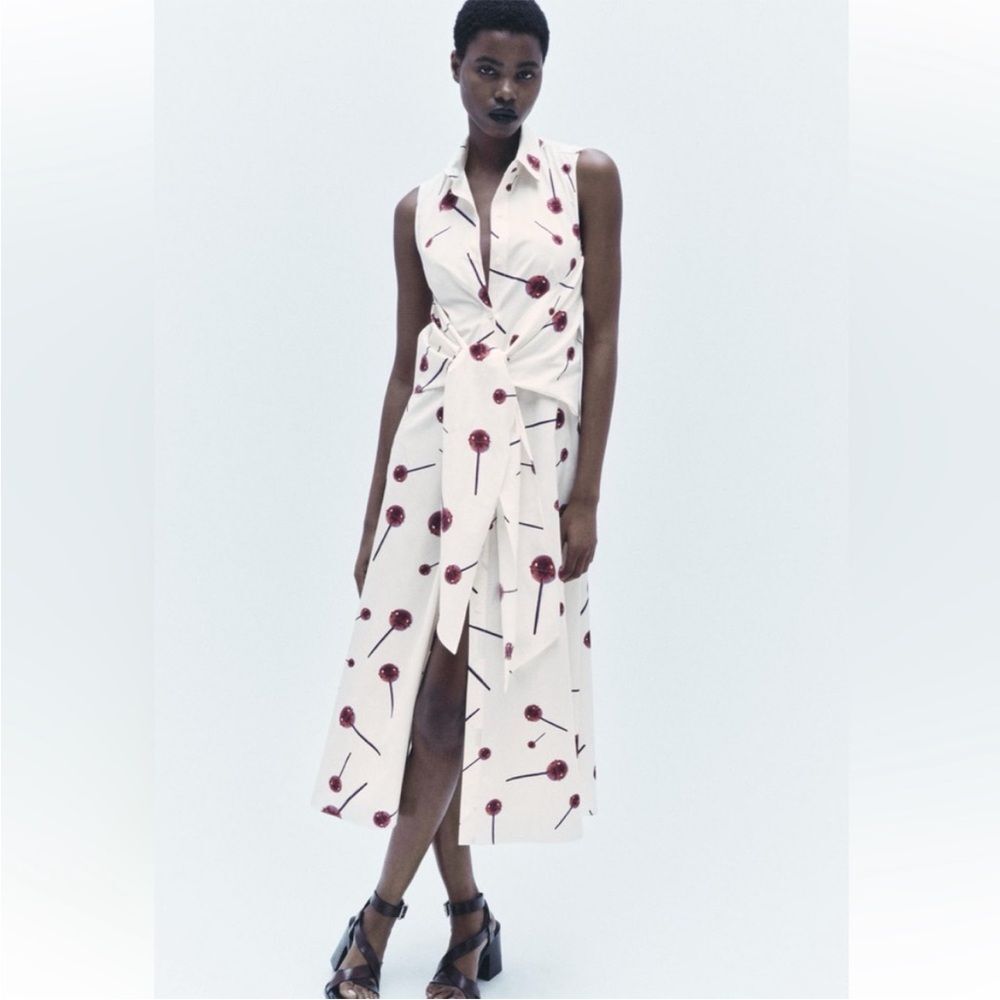 Zara Lollipop Printed Poplin Shirtdress ZW Collection 2024 XS NWT